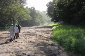 Leopard Mountain Safari Lodge