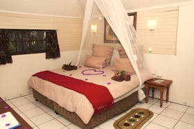 We Bushcamp And Horse Safaris