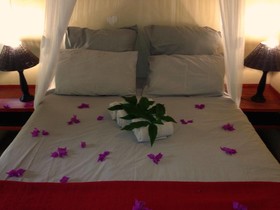 We Bushcamp And Horse Safaris