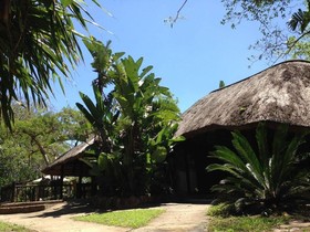 We Bushcamp And Horse Safaris
