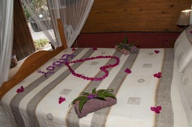 We Bushcamp And Horse Safaris