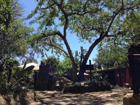 We Bushcamp And Horse Safaris