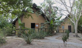 We Bushcamp And Horse Safaris