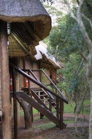 Zululand Safari Lodge