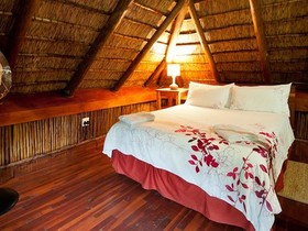 Amafu Forest Lodge