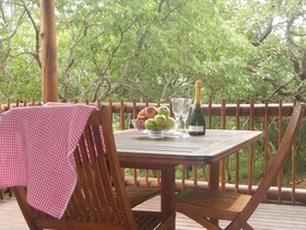 Amafu Forest Lodge