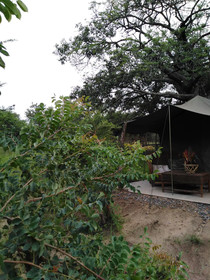 Andova Tented Camp