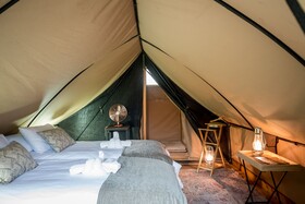 Bundox Explorer Camp