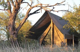 Bundox Explorer Camp