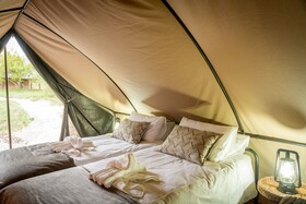 Bundox Explorer Camp