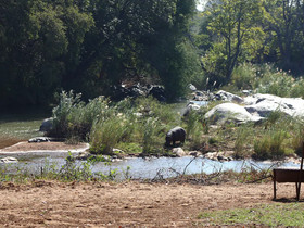 Ekuthuleni River Front Chalets