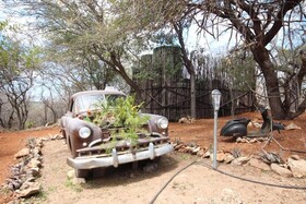Hippomoon Lodge