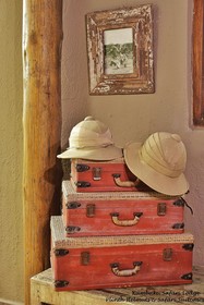 Kambaku Safari Lodge