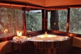 Kambaku Safari Lodge