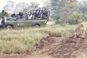 Kambaku Safari Lodge