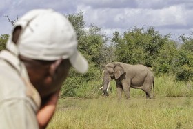 Kambaku Safari Lodge