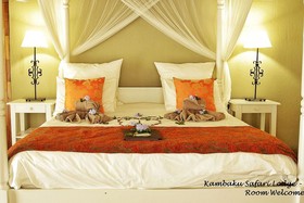 Kambaku Safari Lodge