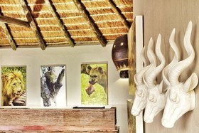 Kambaku Safari Lodge