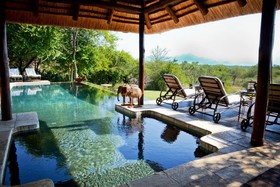Khaya Ndlovu Safari Manor