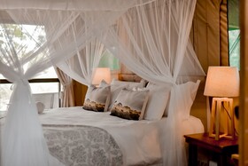 Little Africa Safari Lodge