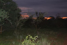 Mali Mali Safari Lodge