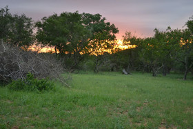 Mali Mali Safari Lodge