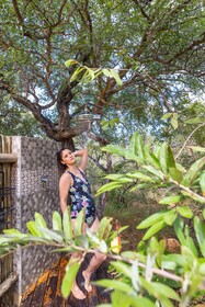 Oase by 7 Star Lodges - Greater Kruger Private 530ha Reserve