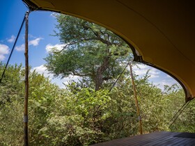 Oase by 7 Star Lodges - Greater Kruger Private 530ha Reserve