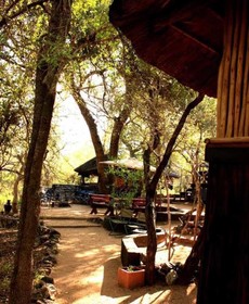 Off Beat Safaris