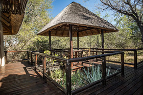 Raptors Lodge