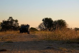 Shindzela Tented Safari Camp