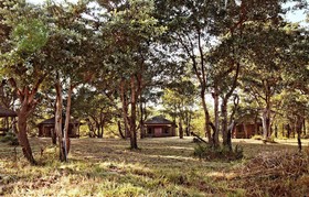 Shindzela Tented Safari Camp