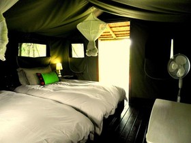 Shindzela Tented Safari Camp