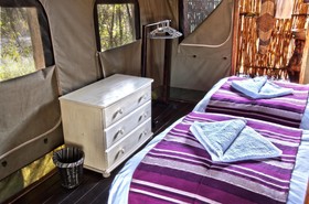 Shindzela Tented Safari Camp