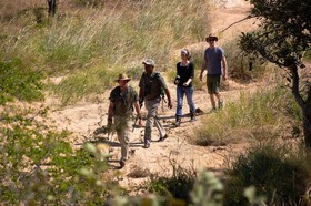 Shindzela Tented Safari Camp