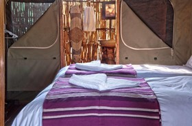 Shindzela Tented Safari Camp