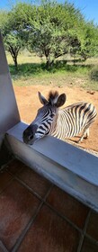 Thandolwami Bush Lodge & Spa