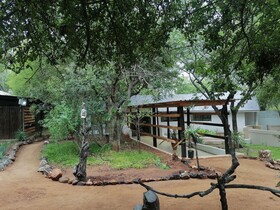 The Wild Horison Lodge