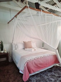The Wild Horison Lodge