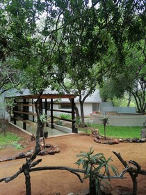 The Wild Horison Lodge