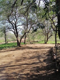 The Wild Horison Lodge