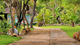 Timbavati Safari Lodge