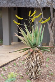 Unembeza Boutique Lodge
