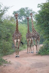 Unembeza Boutique Lodge