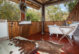Ximongwe Safaris