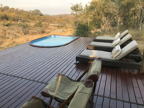 Ximongwe Safaris