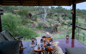 Ximongwe Safaris
