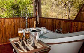 Ximongwe Safaris