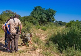 Inyati Game Lodge