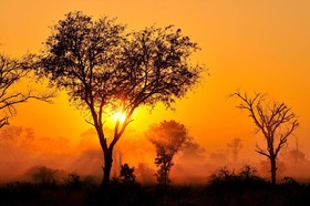 Inyati Game Lodge